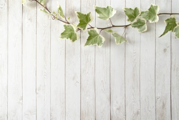 事務所HP、遺言／相続サイトをオープンしました。